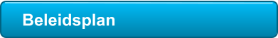 Beleidsplan